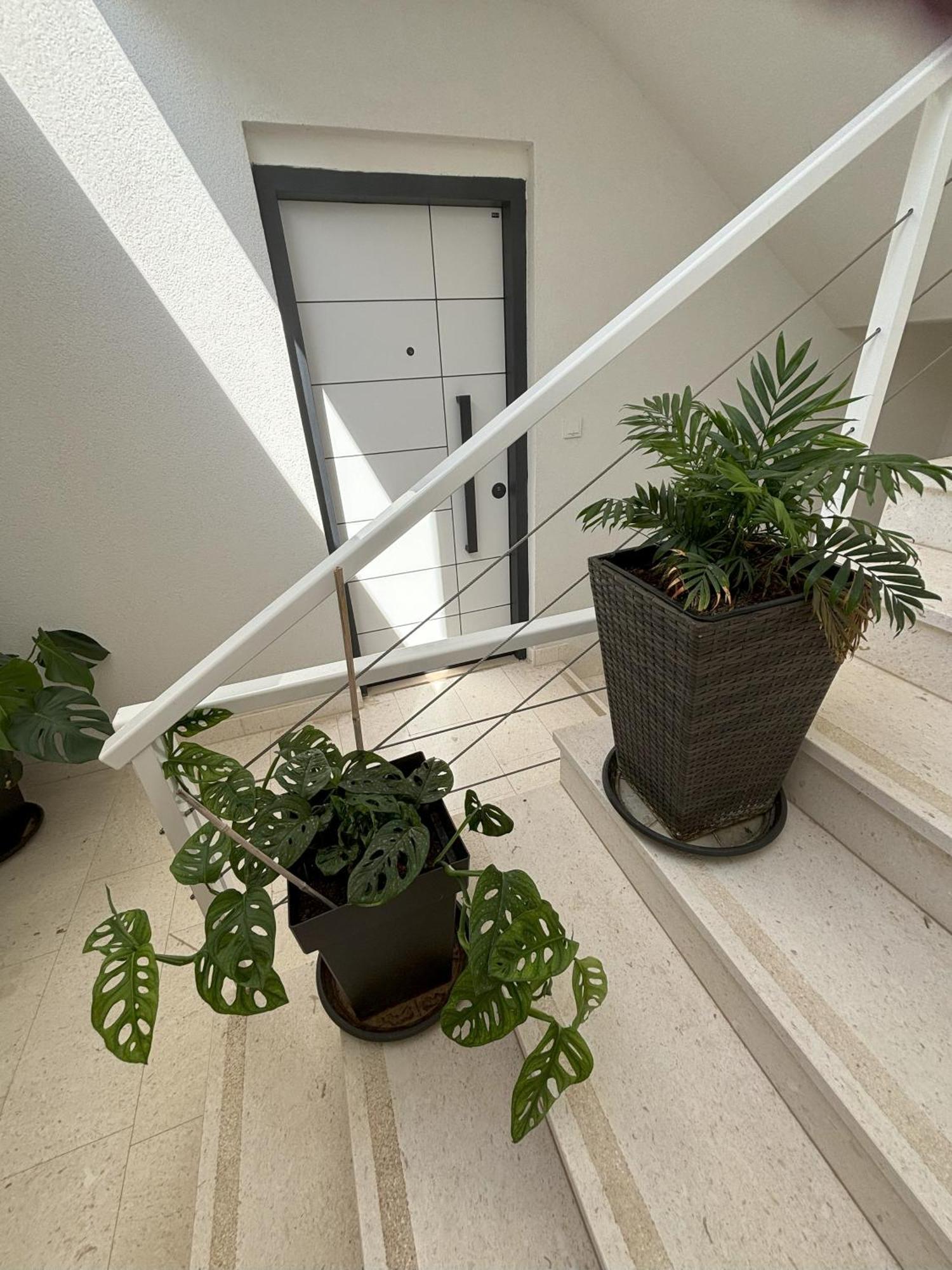 Vila Regina Apartment Paloma With Swimming Pool Jezera Extérieur photo