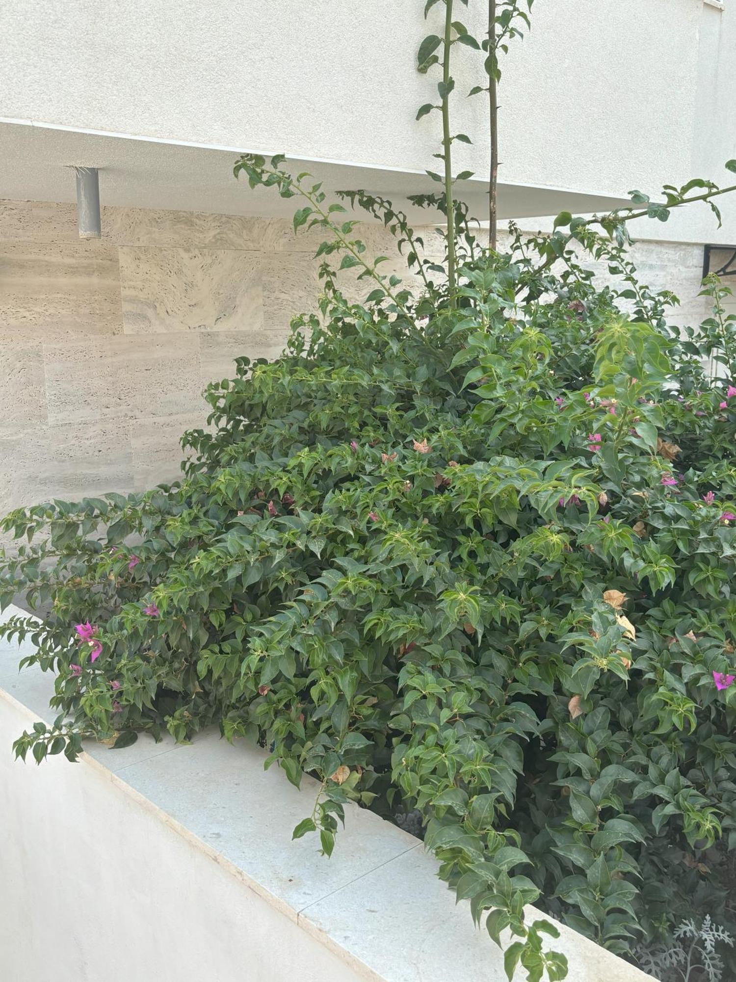Vila Regina Apartment Paloma With Swimming Pool Jezera Extérieur photo